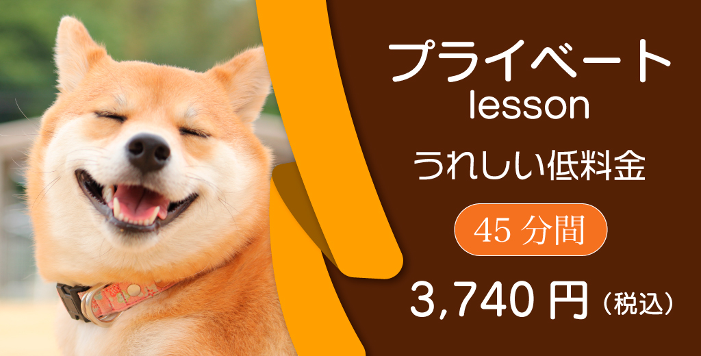 プライベートレッスンなのに、嬉しい低料金、45分間、3,740円(税込)
