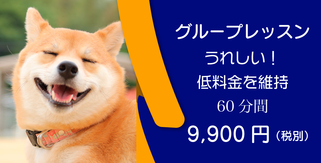 嬉しい低料金、60分間、9,900円。