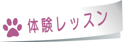 体験レッスン